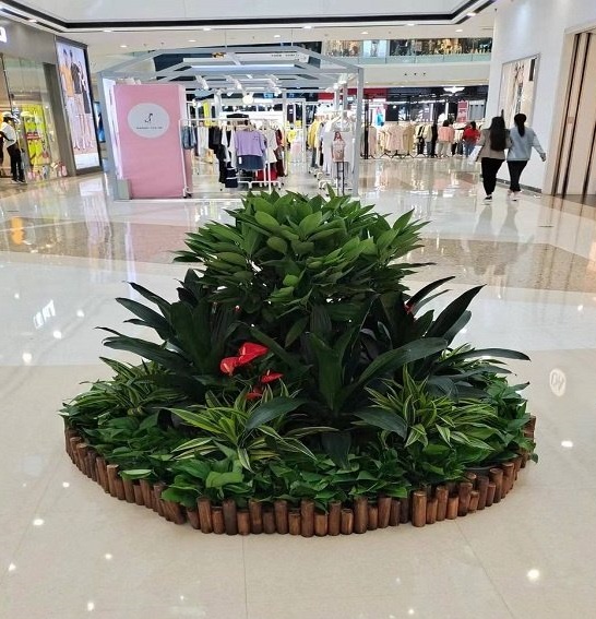 什么样的绿植适合商场租赁摆放